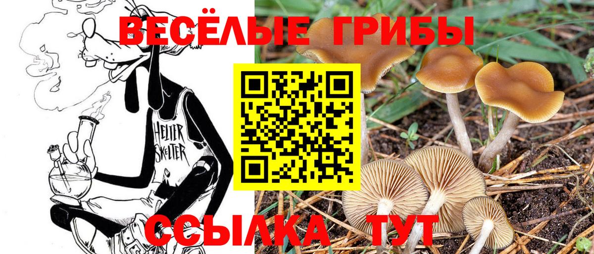 Галлюциногенные грибы мухоморы  сколько стоит  Удомля  Вход с VPN 