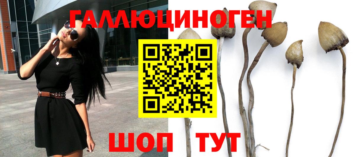 Псилоцибиновые грибы мицелий Удомля