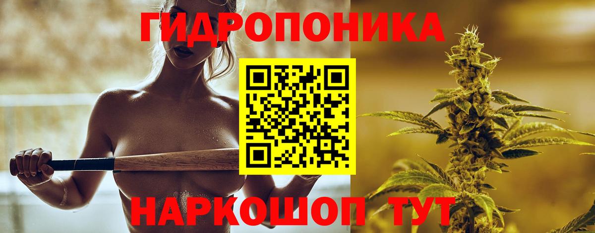 Бошки Шишки VHQ  Бошки марихуана White Widow  Удомля  Вход с VPN  Каннабис индика 